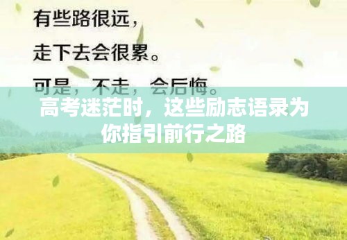 高考迷茫时，这些励志语录为你指引前行之路