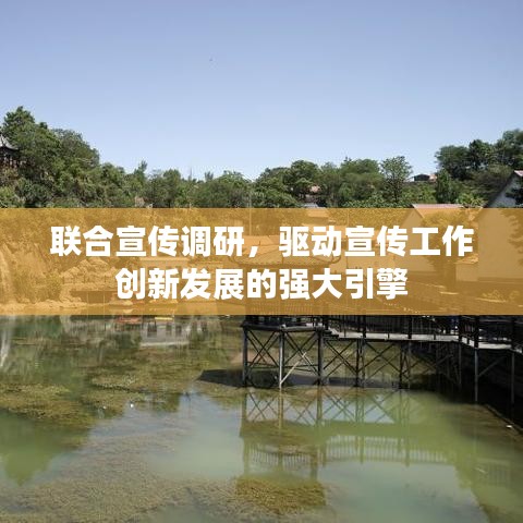 联合宣传调研，驱动宣传工作创新发展的强大引擎