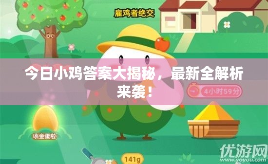 今日小鸡答案大揭秘，最新全解析来袭！