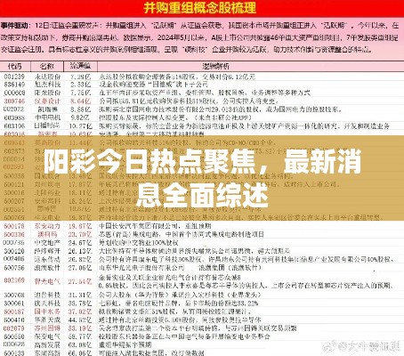 阳彩今日热点聚焦，最新消息全面综述