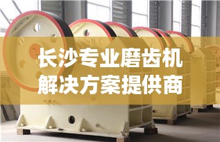 长沙专业磨齿机解决方案提供商，高效磨齿机销售公司，高品质服务助力您的齿轮加工！