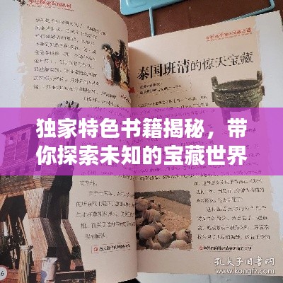 独家特色书籍揭秘，带你探索未知的宝藏世界