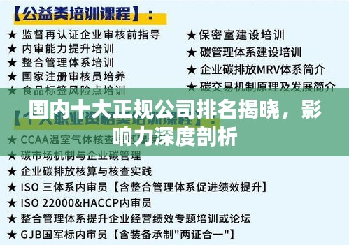 国内十大正规公司排名揭晓，影响力深度剖析