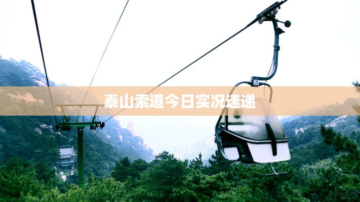 泰山索道今日实况速递