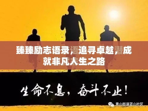 臻臻励志语录，追寻卓越，成就非凡人生之路