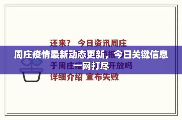 周庄疫情最新动态更新，今日关键信息一网打尽