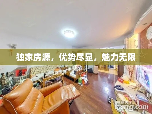 独家房源，优势尽显，魅力无限