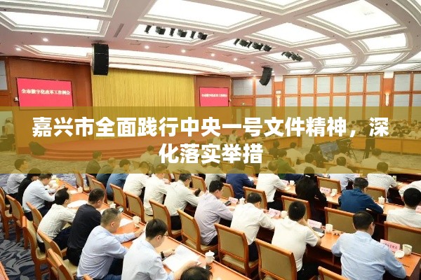 嘉兴市全面践行中央一号文件精神，深化落实举措
