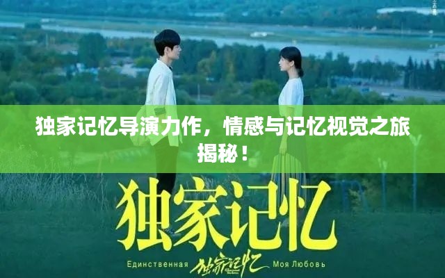 独家记忆导演力作，情感与记忆视觉之旅揭秘！