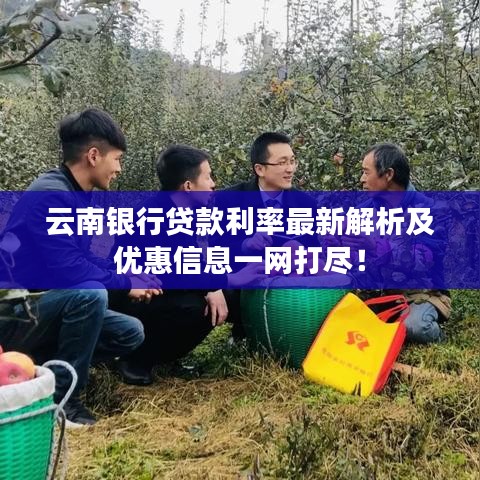 云南银行贷款利率最新解析及优惠信息一网打尽！