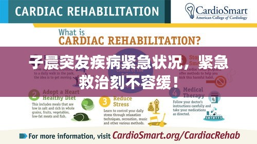 子晨突发疾病紧急状况，紧急救治刻不容缓！