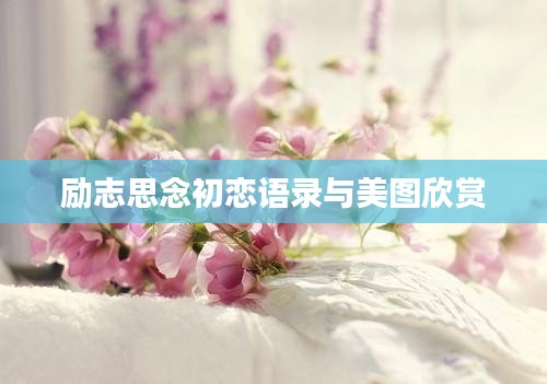 笔走如飞