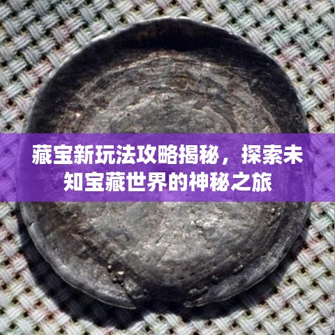 藏宝新玩法攻略揭秘，探索未知宝藏世界的神秘之旅