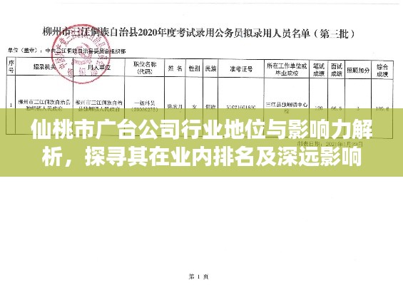 仙桃市广台公司行业地位与影响力解析，探寻其在业内排名及深远影响