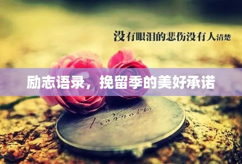 夫妻本是同