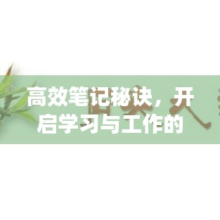 高效笔记秘诀，开启学习与工作的全新境界之旅