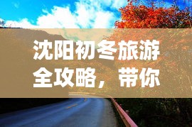 沈阳初冬旅游全攻略，带你领略别样风情！