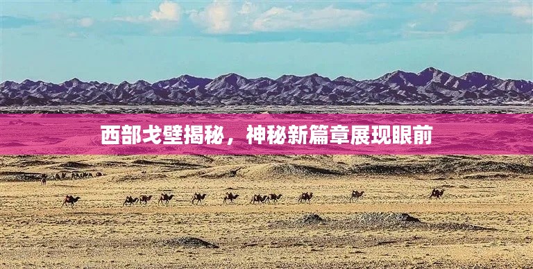 西部戈壁揭秘，神秘新篇章展现眼前