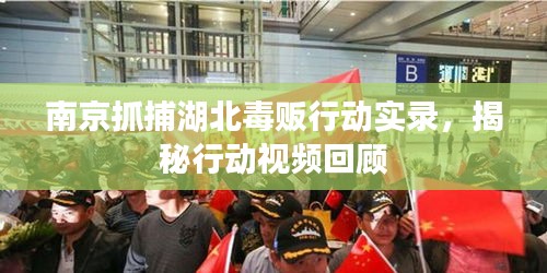 南京抓捕湖北毒贩行动实录，揭秘行动视频回顾