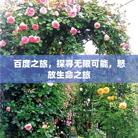 百度之旅，探寻无限可能，怒放生命之旅