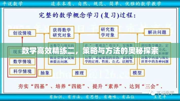 数学高效精练二，策略与方法的奥秘探索