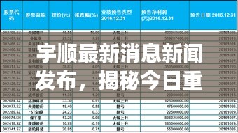 宇顺最新消息新闻发布，揭秘今日重磅动态