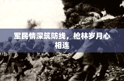 军民情深筑防线，枪林岁月心相连