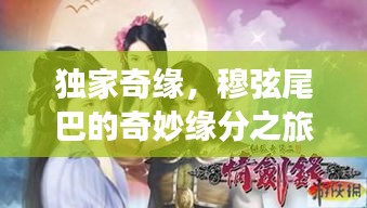 独家奇缘，穆弦尾巴的奇妙缘分之旅