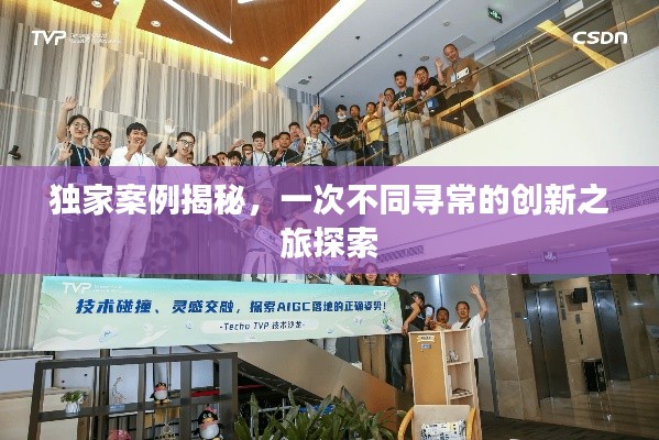 独家案例揭秘，一次不同寻常的创新之旅探索