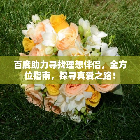 百度助力寻找理想伴侣，全方位指南，探寻真爱之路！