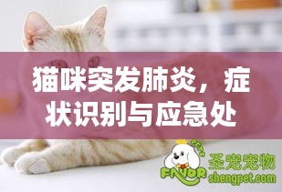 久别重逢