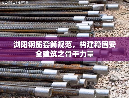 浏阳钢筋套筒规范，构建稳固安全建筑之骨干力量