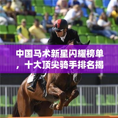 中国马术新星闪耀榜单，十大顶尖骑手排名揭晓！