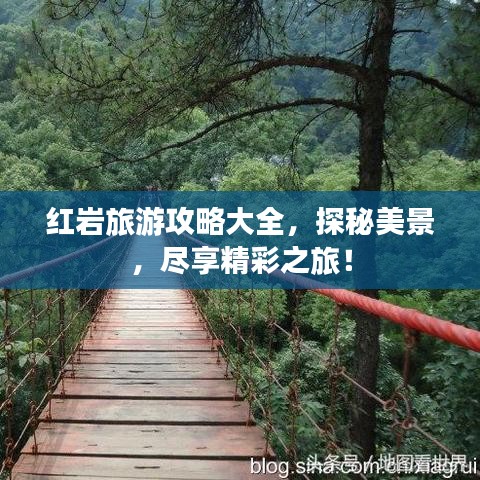 眼张失道