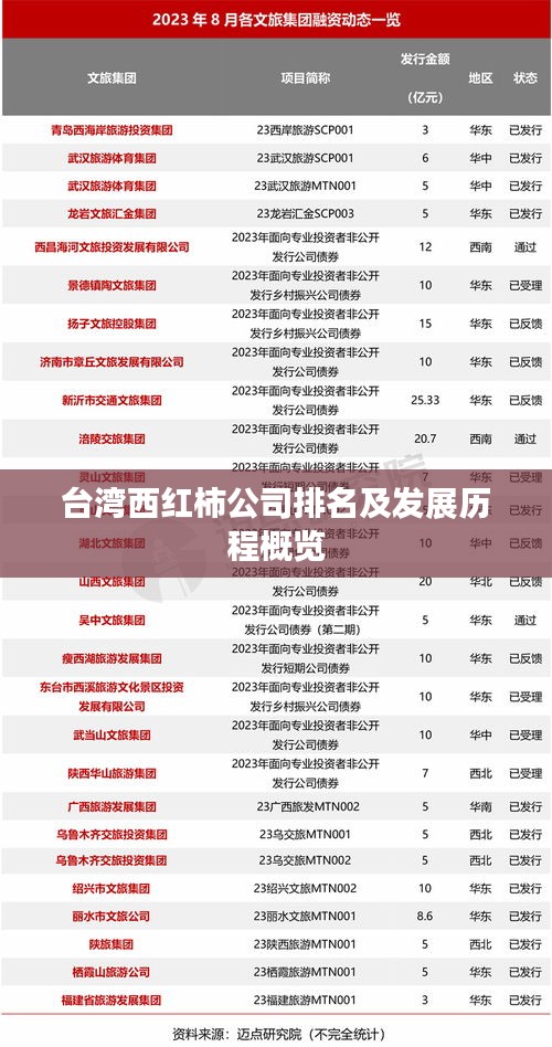 台湾西红柿公司排名及发展历程概览