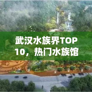 武汉水族界TOP10，热门水族馆大盘点