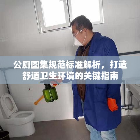 公厕图集规范标准解析，打造舒适卫生环境的关键指南