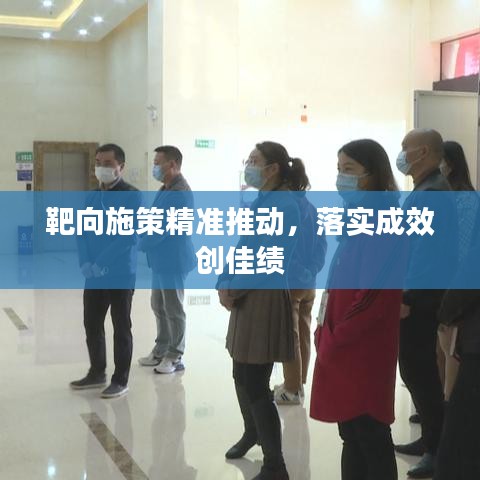 靶向施策精准推动，落实成效创佳绩