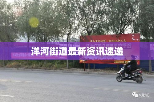 洋河街道最新资讯速递