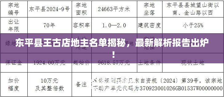 东平县王古店地主名单揭秘，最新解析报告出炉！