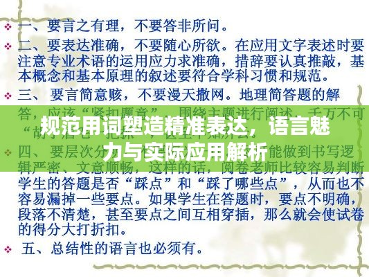 规范用词塑造精准表达，语言魅力与实际应用解析