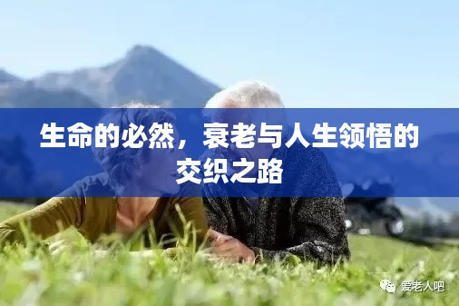 生命的必然，衰老与人生领悟的交织之路