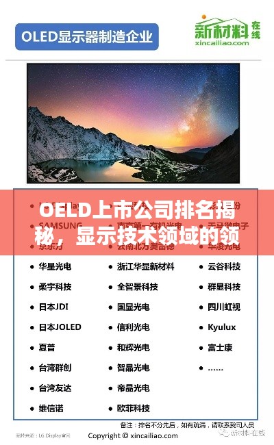 OELD上市公司排名揭秘，显示技术领域的领军企业一览