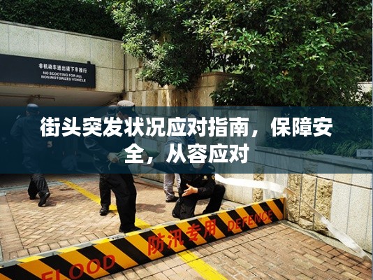 街头突发状况应对指南，保障安全，从容应对