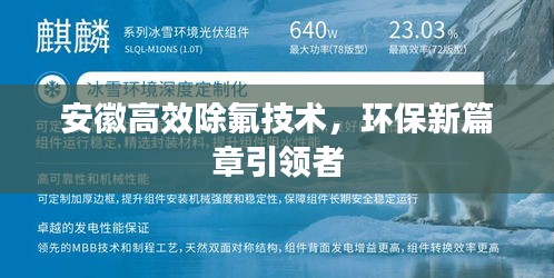 明夷于飞