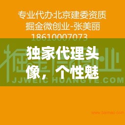 独家代理头像，个性魅力的独特展现，专属定制引领潮流新风尚