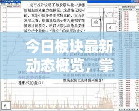 今日板块最新动态概览，掌握最新信息，洞悉市场趋势