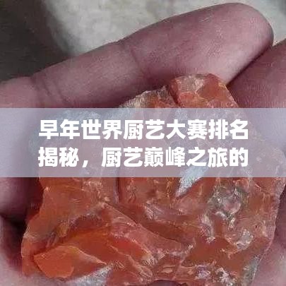 早年世界厨艺大赛排名揭秘，厨艺巅峰之旅的足迹探索