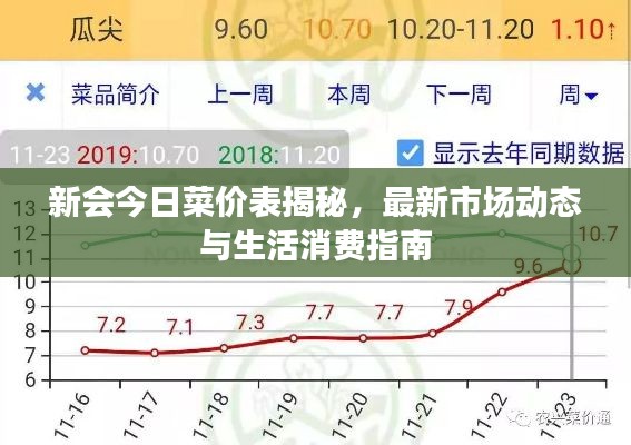 新会今日菜价表揭秘，最新市场动态与生活消费指南