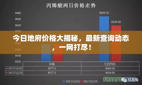 今日地府价格大揭秘，最新查询动态，一网打尽！